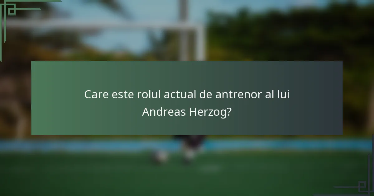 Care este rolul actual de antrenor al lui Andreas Herzog?