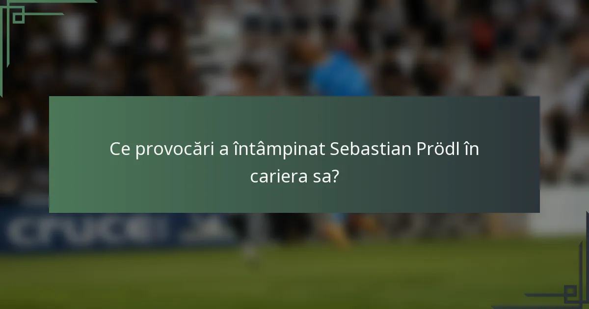 Ce provocări a întâmpinat Sebastian Prödl în cariera sa?