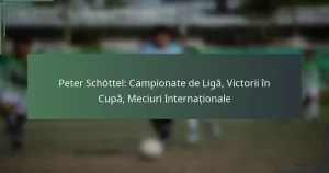 Peter Schöttel: Campionate de Ligă, Victorii în Cupă, Meciuri Internaționale